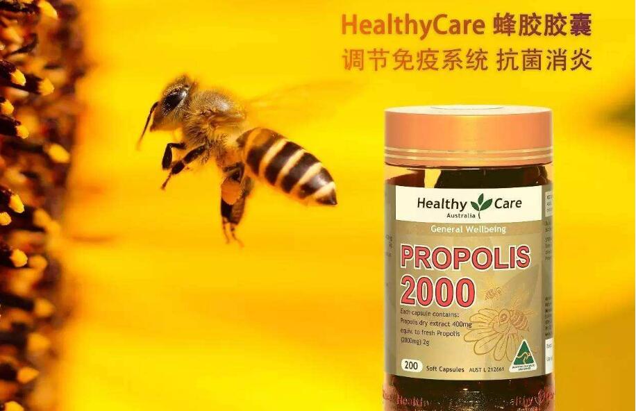 澳洲蜂胶对人体的作用和功效有哪些？澳洲蜂胶的效果如何？