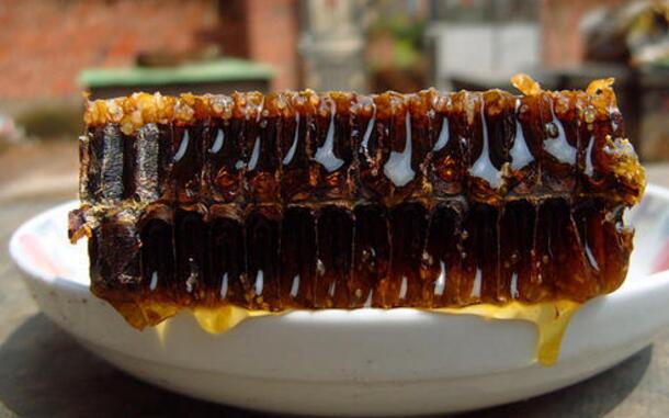 什么是蜂巢素 蜂巢素简介