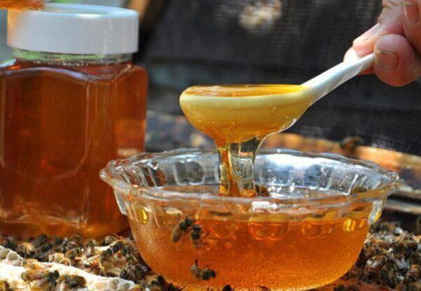 蜂蜜减肥怎么吃？蜂蜜减肥食谱