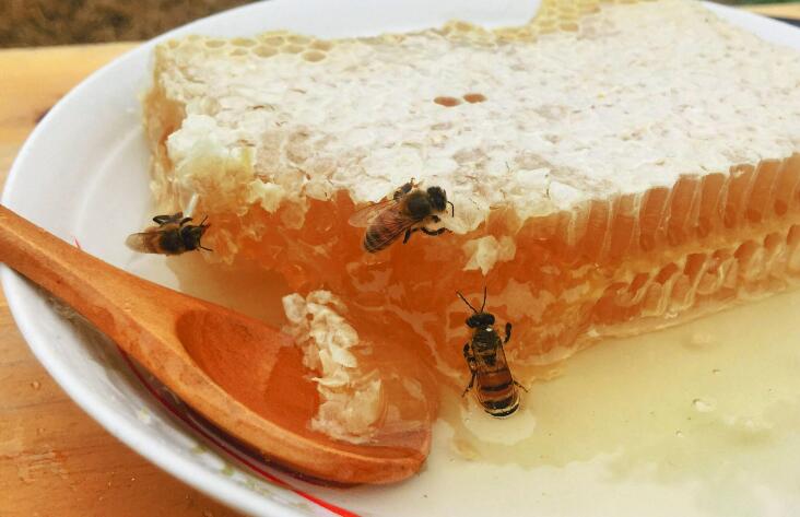 食用蜂蜜也有禁忌吗？吃蜂蜜的5种禁忌